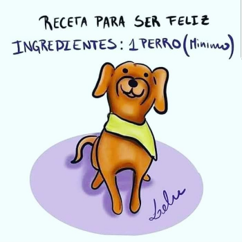 Negocio prueba Manizales